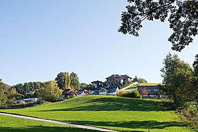 TGA2021：年度最佳游戏《双人成行》