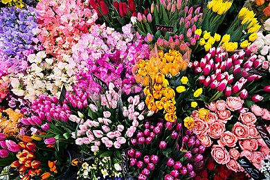 《电锯甜心》多个新项目启动 中国台湾公司参与开发